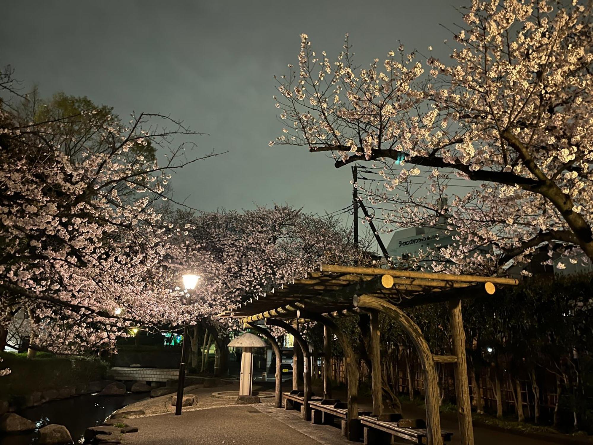 松島雅居 Tóquio Exterior foto
