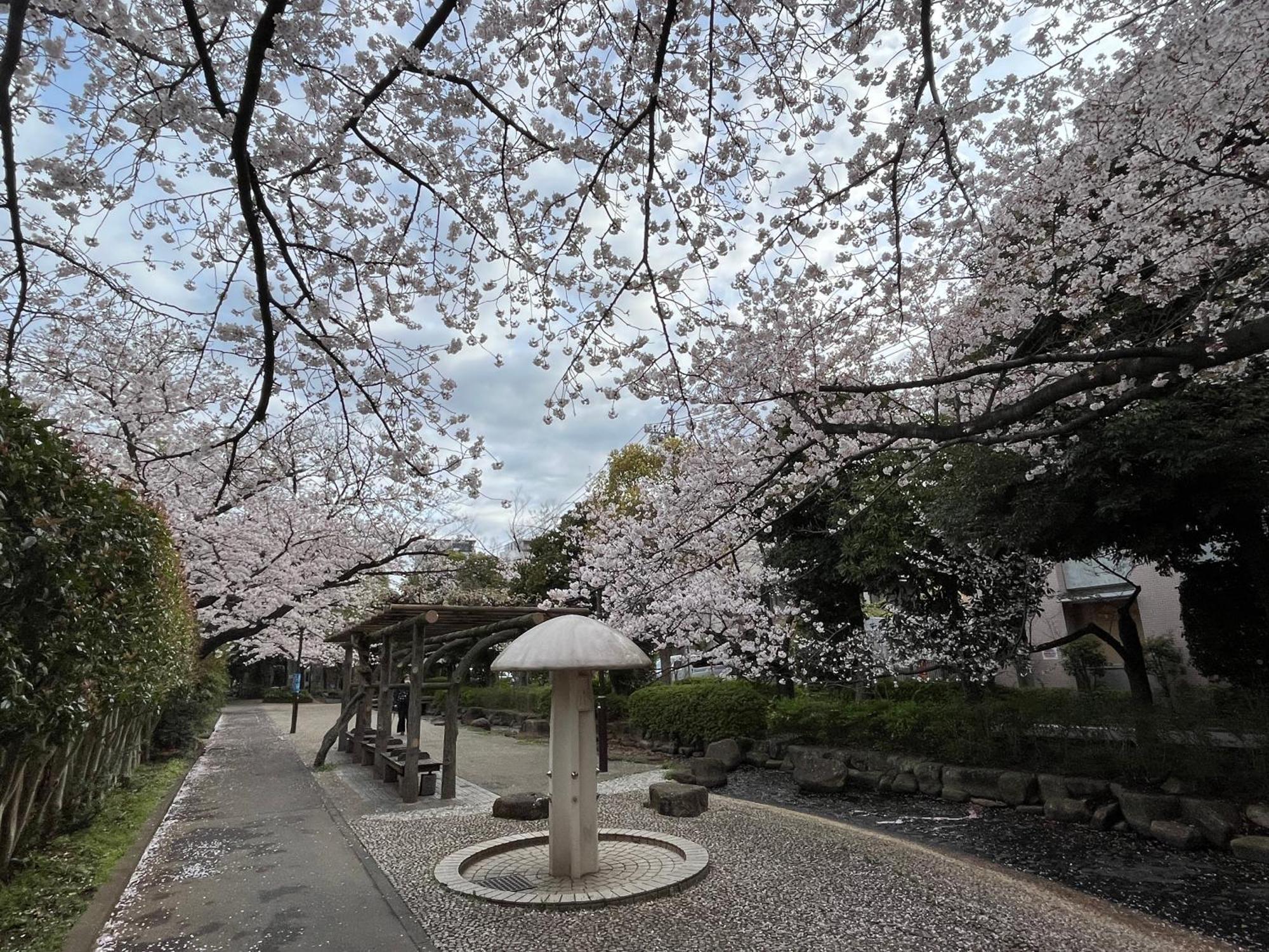 松島雅居 Tóquio Exterior foto